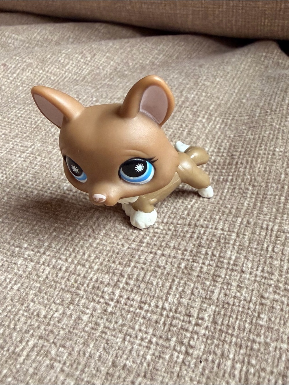 Littlest Pet Shop Brown Corgi with Blue Eyes